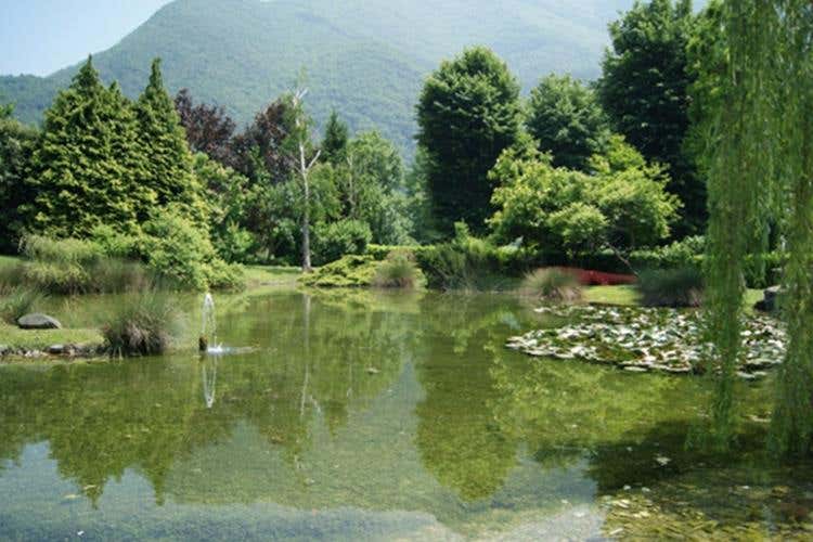 Menu stagionali e 700 vini in cantina 
Il Ristorante Pampero festeggia 40 anni