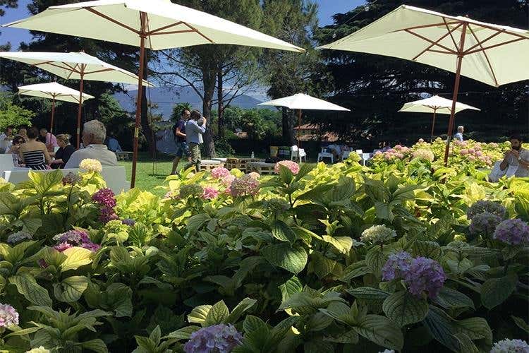 Metodo Franciacorta e cucina d'autore Abbinamenti da festival con 54 produttori