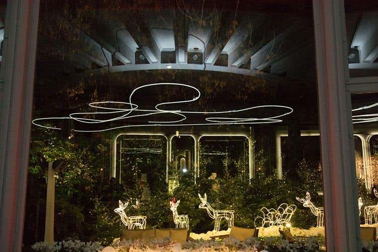 (Milano, oasi di pace a porta Venezia 
Diana Majestic ideale per coccole natalizie)