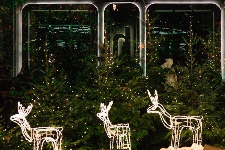 (Milano, oasi di pace a porta Venezia 
Diana Majestic ideale per coccole natalizie)