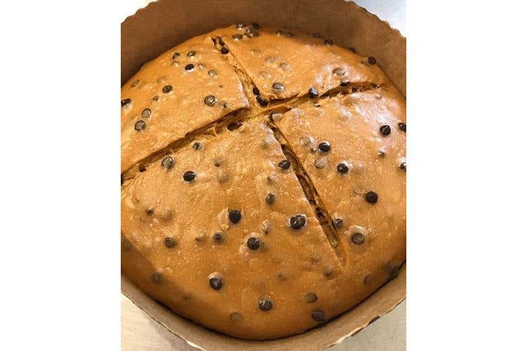 Molino Grassi, due incontri a Sigep Focus su pasticceria e fermentazioni