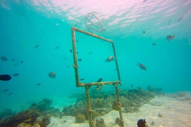 (Moofushi, emozioni #nofilter 
e fondali mozzafiato)