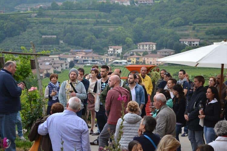 (Movimento Turismo del Vino 
Al via “Cantine Aperte in Vendemmia”)