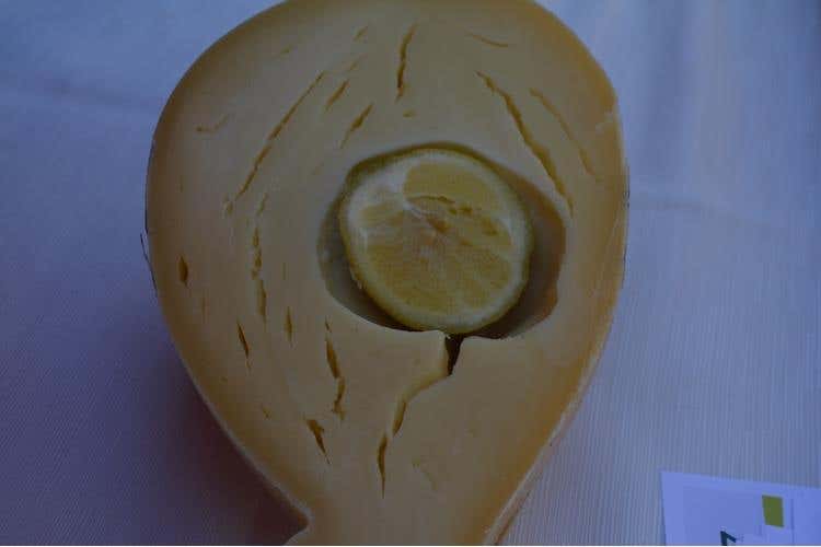 Nebrodi Cheese Festival 
Emozioni globali, prodotti locali