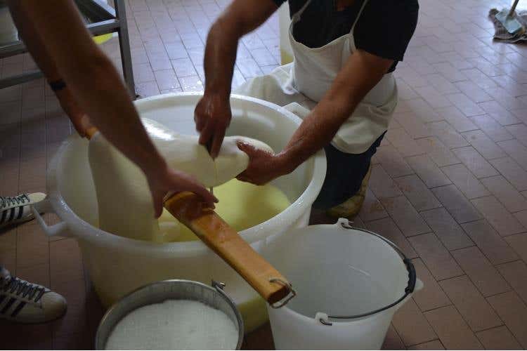 Nebrodi Cheese Festival 
Emozioni globali, prodotti locali