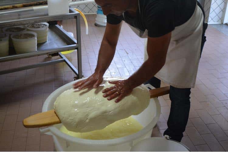Nebrodi Cheese Festival 
Emozioni globali, prodotti locali