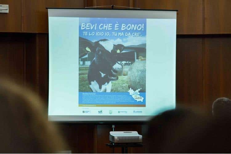 Nel Lazio nasce la “Filiera del latte” 
Una rete a tutela della produzione