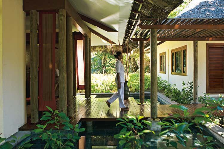 (Nel regno del coco de mer 
e delle tartarughe marine)