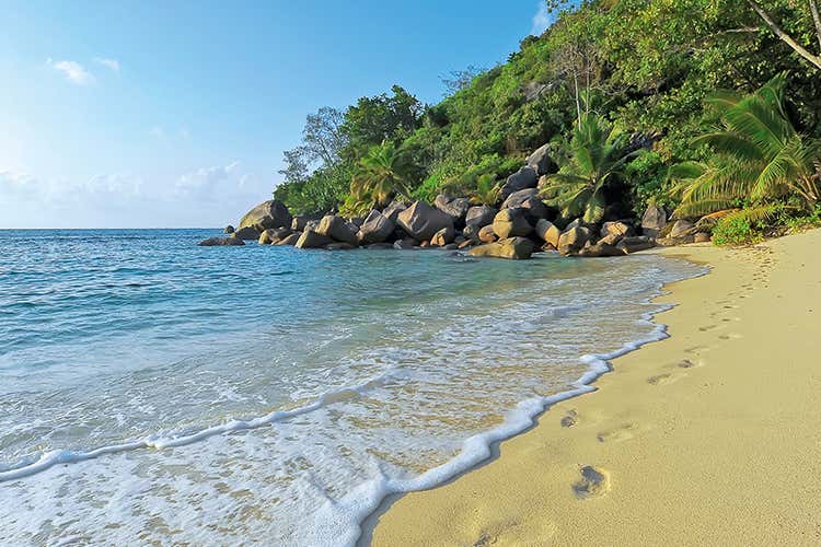(Nel regno del coco de mer 
e delle tartarughe marine)