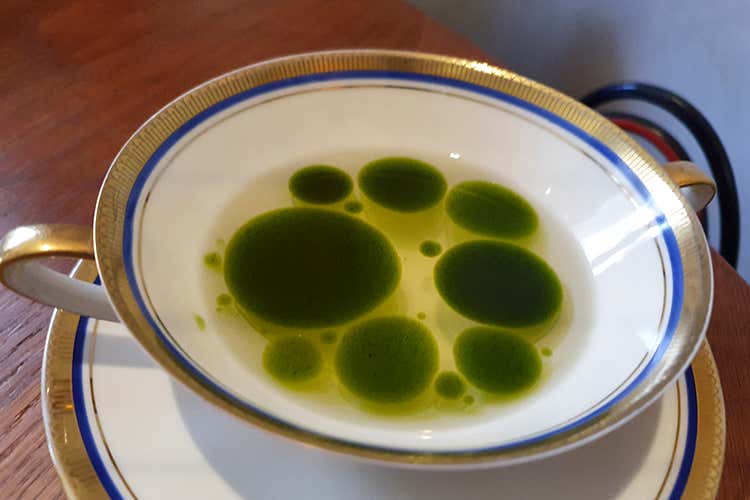 Brodo freddo di pomodoro verde e finocchietto selvatico (Nikita Sergeev nelle Marche 
ha reso il lockdown un'opportunità)