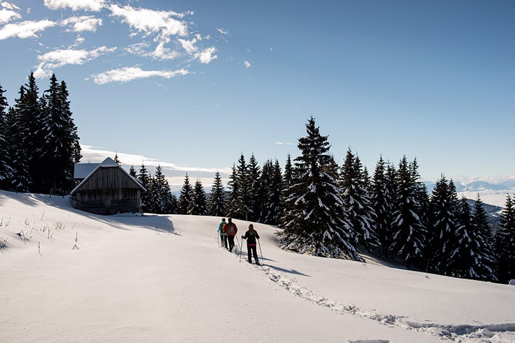 (Occasioni dedicate alle famiglie 
per godersi l'ultima neve in Austria)