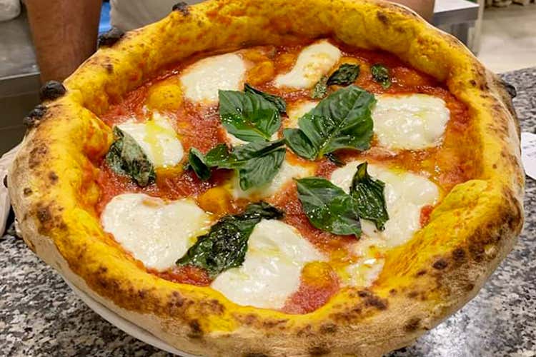 Bufalina Dop (Olio e Basilico, pizza d'altri tempi 
Impasti di qualità e topping locale)