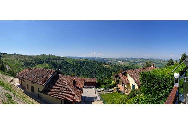 (Olio Riviera Ligure Dop 
A tavola con le tipicità delle Langhe)