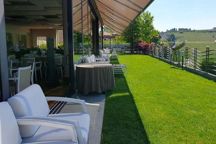 (Olio Riviera Ligure Dop 
A tavola con le tipicità delle Langhe)