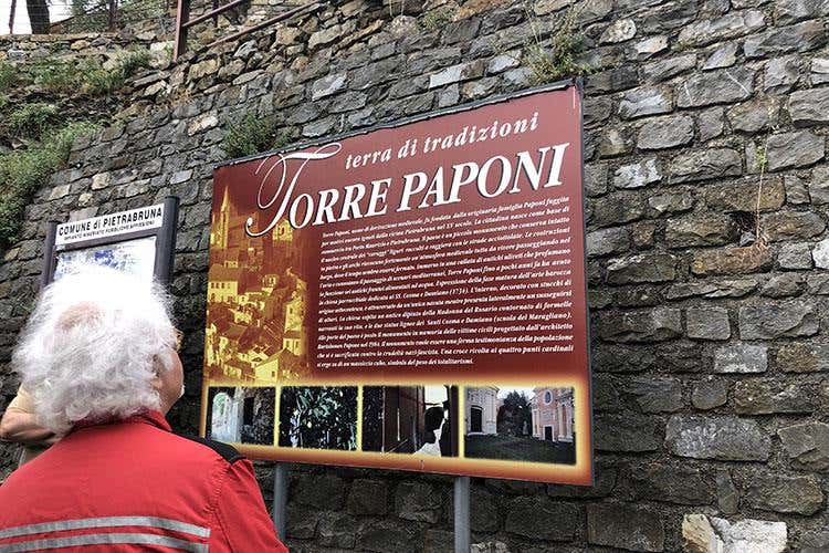 (Oliveti Aperti 
L’esordio è un successo)