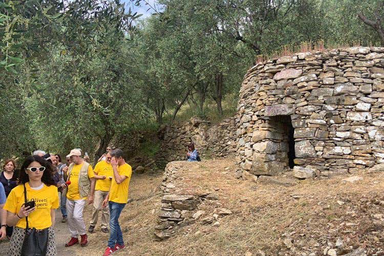 (Oliveti Aperti 
L’esordio è un successo)