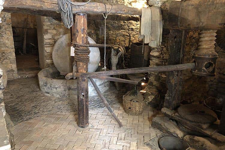 (Oliveti Aperti 
L’esordio è un successo)