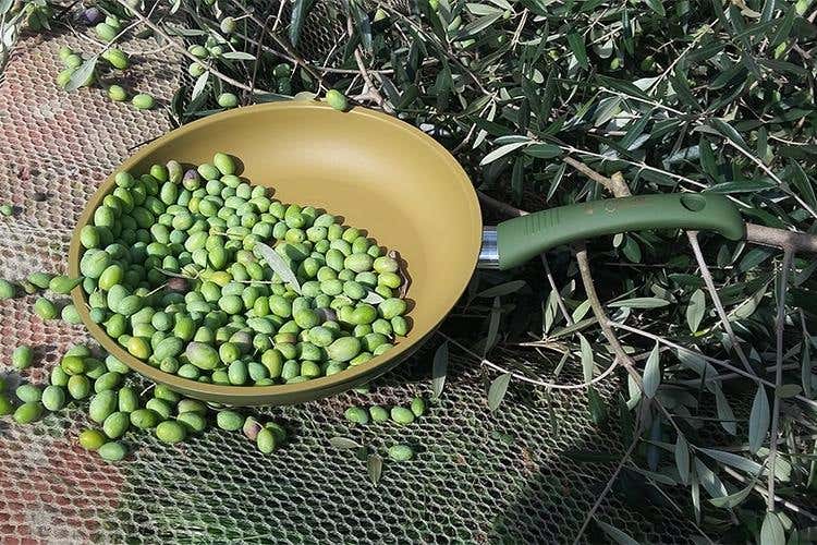Olivilla, la padella all'olio made in Italy per preservare la salute e l'ambiente