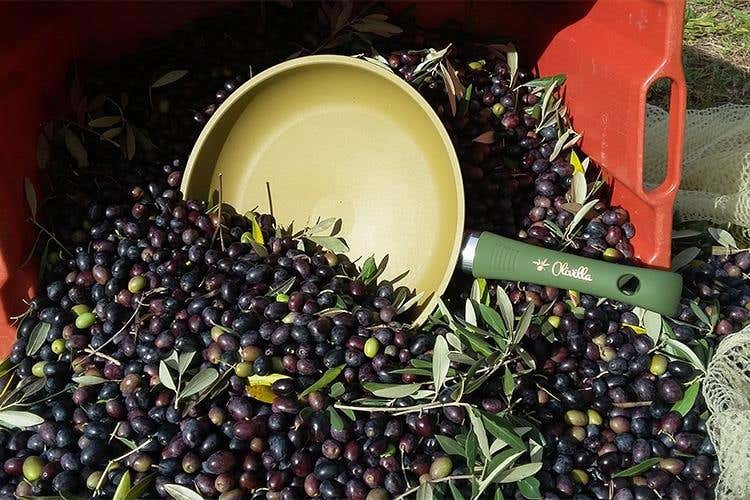 Olivilla, la padella all'olio made in Italy per preservare la salute e l'ambiente
