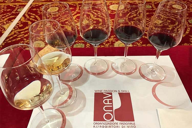 (Onav e Assoenologi: «Valorizzando 
il territorio si difendono vitigno e vino»)