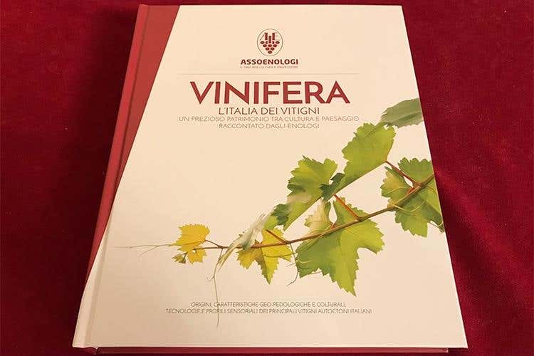 (Onav e Assoenologi: «Valorizzando 
il territorio si difendono vitigno e vino»)