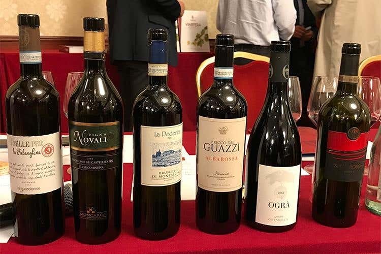 (Onav e Assoenologi: «Valorizzando 
il territorio si difendono vitigno e vino»)