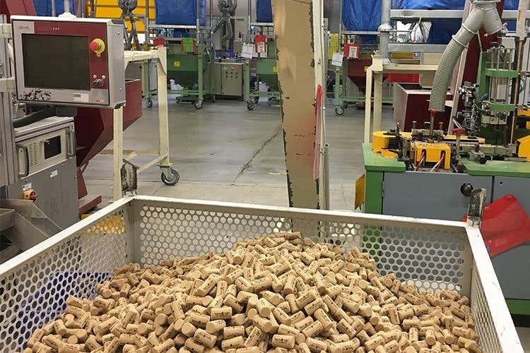 Origine by Diam, il sughero cambia volto 
Alta tecnologia nel rispetto dell'ambiente