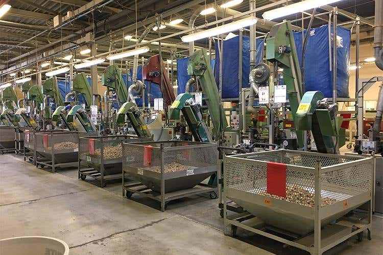 Origine by Diam, il sughero cambia volto 
Alta tecnologia nel rispetto dell'ambiente