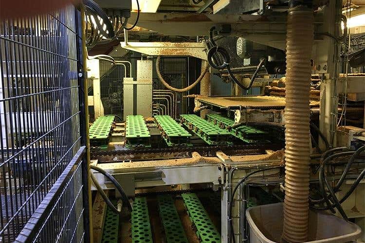 Origine by Diam, il sughero cambia volto 
Alta tecnologia nel rispetto dell'ambiente