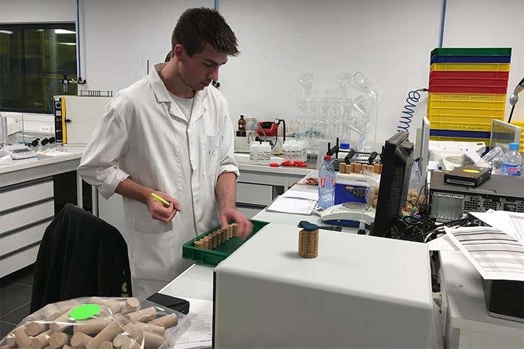 Origine by Diam, il sughero cambia volto 
Alta tecnologia nel rispetto dell'ambiente