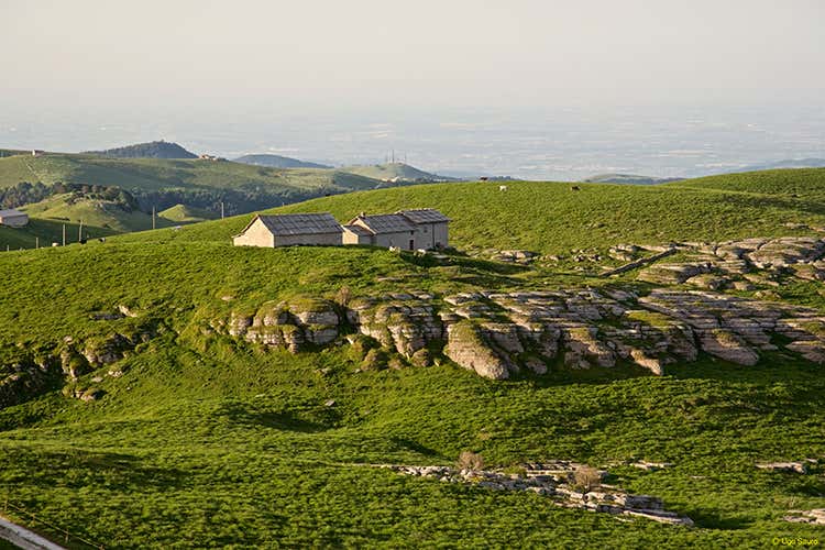 (Paesaggi rurali storici, la Lessinia 
prepara un dossier per farne parte)