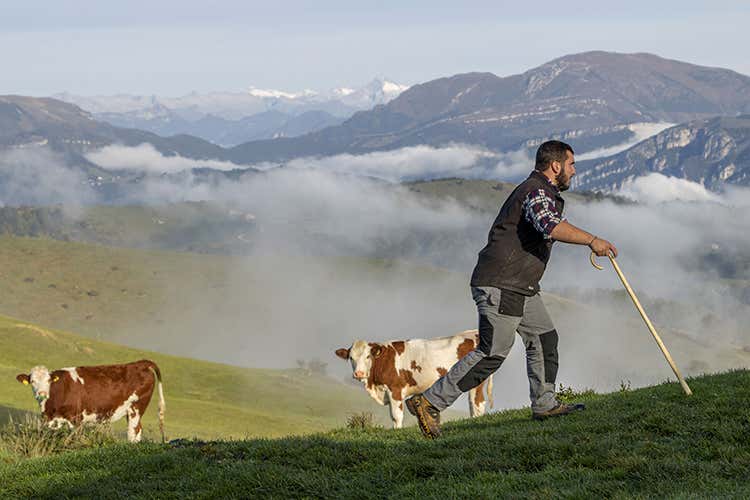 (Paesaggi rurali storici, la Lessinia 
prepara un dossier per farne parte)