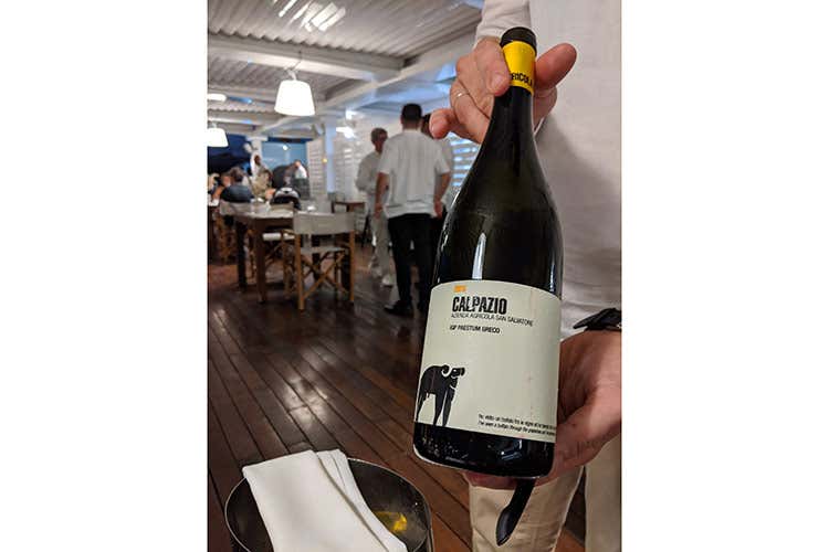 Calvazio Greco di Tufo Azienda agricola San Salvatore