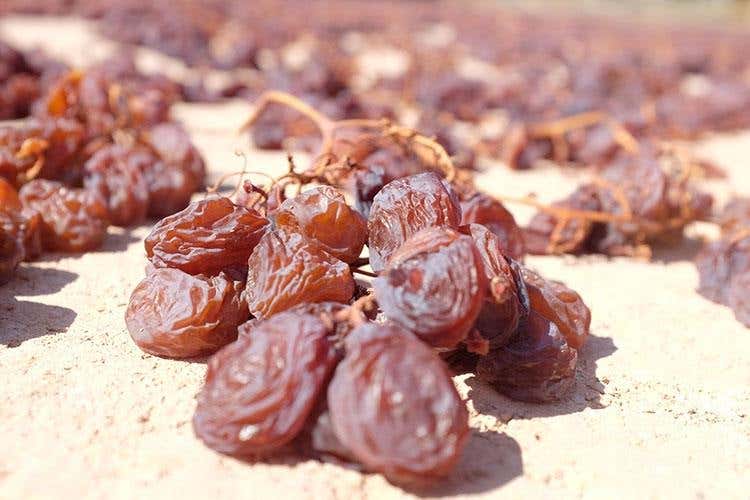 (Pantelleria Doc festival 
Al via la prima edizione)