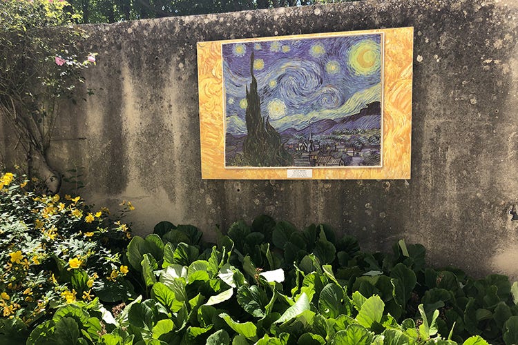 La Notte stellata di Van Gogh (Passeggiando per Saint-Rémy 
Stile di vita tipicamente provenzale)