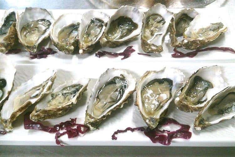 Ostriche (Pedrotti TrentoDoc arriva nelle Marche 
Abbinamento gustoso col pesce azzurro)