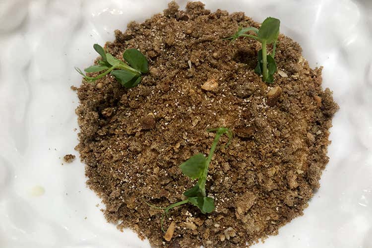 Uovo fondente con tartufo e spuma di Parmigiano (Il pesce d'inverno in tavola da Franco Mare