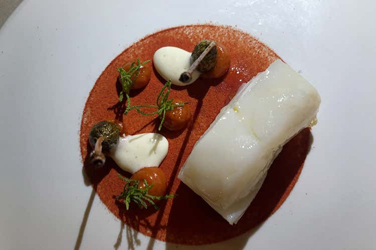 Baccalà in olio cottura con gocce di pomodoro e capperi croccanti (Il pesce d'inverno in tavola da Franco Mare