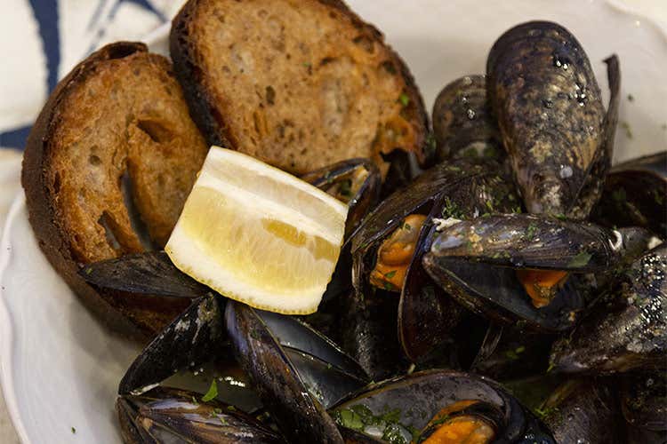 (Il pesce di The Fisherman Burger 
Un viaggio dalla Puglia agli Usa)