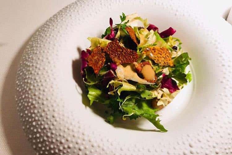 Mangia la foglia (Pietro Leemann fa visita all’ex allievo 
Al Mater Terrae un menu tutto vegano)