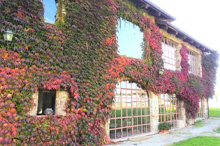 Poderi Einaudi, tra vino e ospitalità 
Amore per la terra da quattro generazioni