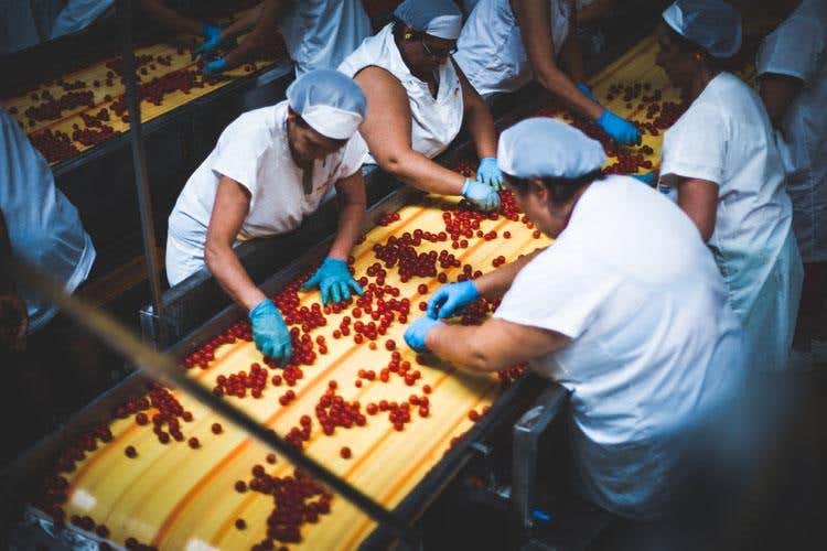 (Pomorosso d’Autore, l’epilogo 
Gatta e Gallo vincono la 3ª edizione)