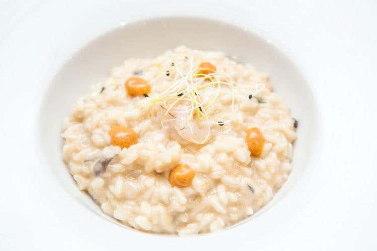 Risotto con gamberi e cipolla di Tropea (Pompeo Magno per turisti gourmet 
A Pompei, tra i pochi locali di qualità)