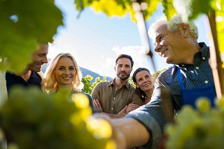 foto: Alex Filz (Quando vino e ospitalità si incontrano 
La formula di Vinum Hotels Südtirol)