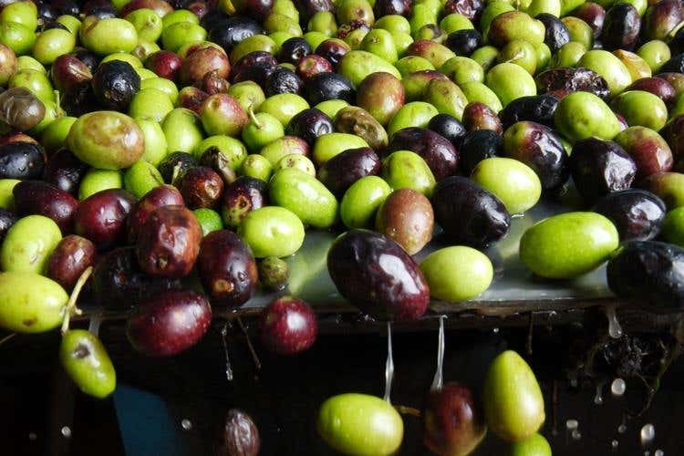 (Ristorante Mater Terrae di Roma 
Ultima tappa del Premio Laudemio 2018)