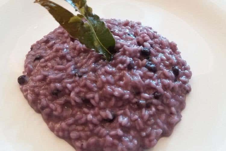Risotto biologico al mirtillo nero profumato al ginepro (Ristoranti Regionali Cucina Doc 
Il Giardino di Cles nuovo associato)