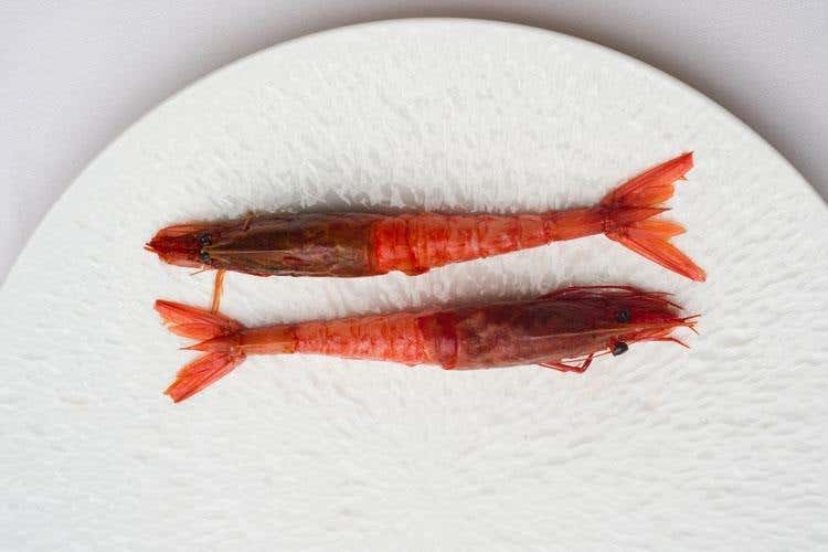 Foto: Silvio Tamberi