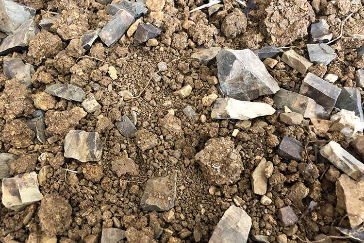 (Rosso e Bianco Baglio di Pianetto 
Eleganza francese in terra siciliana)