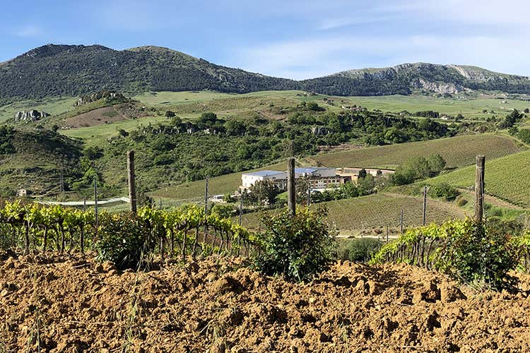 (Rosso e Bianco Baglio di Pianetto 
Eleganza francese in terra siciliana)