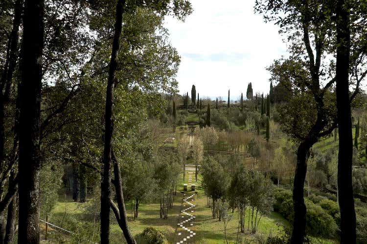 Bosco della Ragnaia. Fonte: Associazione Nazionale Città del Tartufo